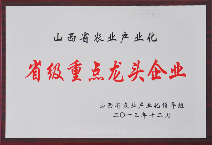 榮譽(yù)證書29